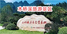 黄片和操逼片